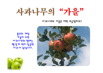 사과가 주렁주렁(음성녹음) 이야기나누기  상호작용  사과프로젝트  가을과일  사과의생김새  사과나무열매  사과씨  사과꽃  사과의좋은점-6페이지