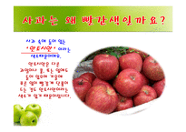 사과가 주렁주렁(음성녹음) 이야기나누기  상호작용  사과프로젝트  가을과일  사과의생김새  사과나무열매  사과씨  사과꽃  사과의좋은점-15페이지
