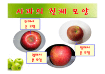 사과가 주렁주렁(음성녹음) 이야기나누기  상호작용  사과프로젝트  가을과일  사과의생김새  사과나무열매  사과씨  사과꽃  사과의좋은점-16페이지