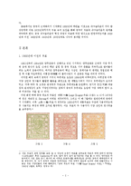 동양사상과 역사  우표에 나타난 중국의 애국주의-4페이지