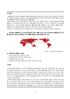 국제경영  오리온 초코파이 중국  러시아 진출 성공사례-9페이지