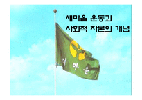 한국정부론  새마을운동과 사회적 자본-7페이지