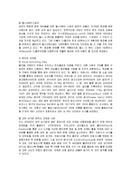 국제경영  아모레퍼시픽의 대만  홍콩  인도 진출 방안 분석-9페이지