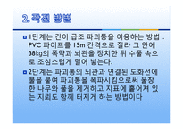 도화선 폭파 Hyun's essay