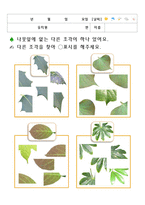 나뭇잎 프로젝트 교육계획안  창의활동지  나무프로젝트  가을프로젝트  잎프로젝트-8페이지