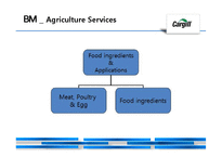 애그리플레이션(agriflation)과 글로벌 농기업 카길(Cargill) 분석-18페이지