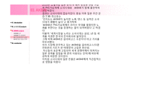 국제경영  소녀시대의 일본 진출에 대한 AKB48의 대응전략-7페이지