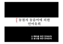 인문학  한국어 의미론-동음어를 이용한 언어유희에 관하여-8페이지