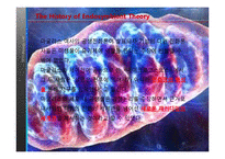 생물학 실험  세포 내 공생설(Endosymbiont Theory)과 진화-6페이지