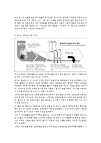 경영윤리  국내외 기업의 경영윤리 사례 고찰-16페이지