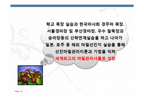 교육학  한국 마사고등학교 VS 한국 경마축산 고등학교 비교 분석-16페이지
