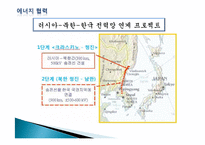 러시아경제  한국 러시아간 교역 및 투자 현황  경제협력-17페이지