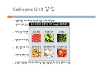 기능성식품학  코엔자임 Q10(Coenzyme Q10)-12페이지
