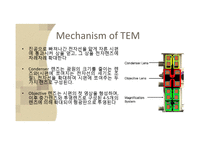 물리화학  Mechanism of TEM-5페이지