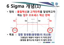6SIGMA 식스 시그마 개념 및 이해  사례 - LG-5페이지