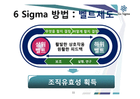 6SIGMA 식스 시그마 개념 및 이해  사례 - LG-11페이지