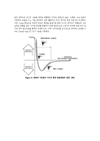 기기분석  주사현미경(SEM)  AFM-18페이지