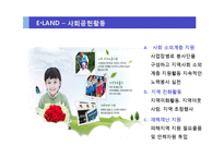 A+  ELAND 이랜드 브랜드마케팅전략 및 중국시장 성공전략  경영전략 분석  PPT-19페이지
