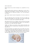 생명학  뇌  신경계 및 관련 질병-6페이지