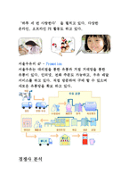 서울 우유의 유통 전략 보고서-5페이지
