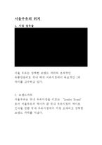 서울 우유의 유통 전략 보고서-10페이지