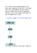 서울 우유의 유통 전략 보고서-16페이지