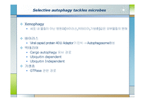생화학  면역  염증질환과 자가포식(Autophagy)-6페이지