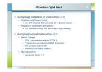 생화학  면역  염증질환과 자가포식(Autophagy)-9페이지