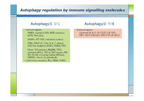 생화학  면역  염증질환과 자가포식(Autophagy)-11페이지