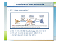 생화학  면역  염증질환과 자가포식(Autophagy)-13페이지