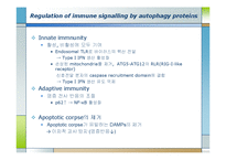 생화학  면역  염증질환과 자가포식(Autophagy)-14페이지