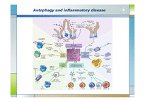 생화학  면역  염증질환과 자가포식(Autophagy)-16페이지