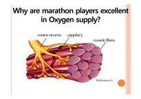 분리공정  혈액속 산소의 구조 분석(영문)-14페이지