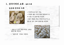 국제관계  한국  일본의 음식문화교류사-5페이지