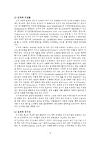 한국의 전통 발효식품  김치 에 대하여-18페이지