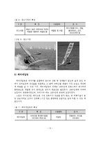 A+레포트 해양레저스포츠의 개념과 유형 및 종류와 특성-13페이지