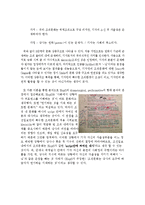 경영조직론  조선일보 조직문화-9페이지