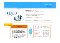 세스코마케팅전략 세스코기업분석 세스코중국진출 해충방제시장분석 중국해충방제시장-6페이지
