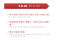 CRM도입배경 CRM사례분석 E-CRM 고객관리프로그램 CRM마케팅-6페이지