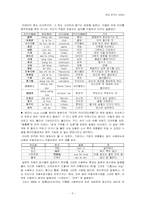중국언어  중국의 외래어-8페이지