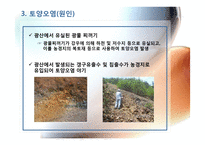광산지역의 토양 및 수질오염-13페이지