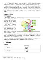 마케팅 보고서  락앤락의 중국내수시장 공략과 유통시장확장 전략 - 5C  4P를 중심으로-9페이지