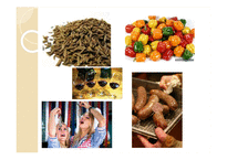 독일테마기행  독일의 음식문화 - 독일음식문화의 역사부터 소시지 까지-8페이지
