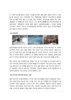 일본 대지진피해 현황 및 원전방사능유출 심각성과 향후 대책 방안 및 전망  한국에 미치는 영향-8페이지