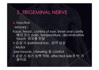 의학  뇌신경 The cranial nerves 에 관해서-18페이지