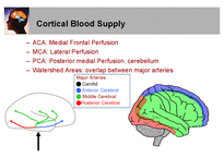 의학  뇌혈관 해부학과 뇌혈과 손상시 임상양상-11페이지