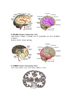 뇌손상 - cva Cerebral Vascular Accident  에 대해-12페이지