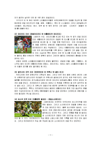 예체능  세계문화의이해 - 스페인 축구문화-11페이지