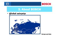 인사관리  독일기업`BOSCH`의 인사관리-9페이지