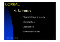 로레알 마케팅전략-19페이지